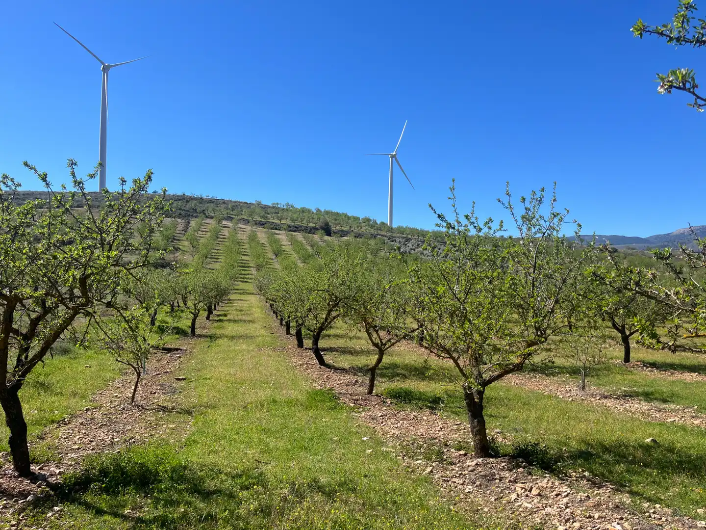Rustikales Grundstück zum Verkauf in Camino de la Sierra, imagen 8
