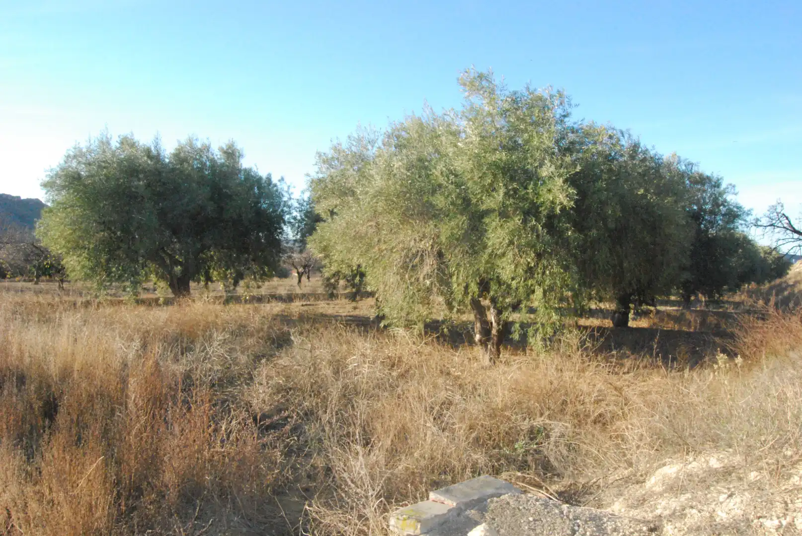 Houses for sale in Alicante / Alacant  with Air Conditioner, Terrace and Storage room
