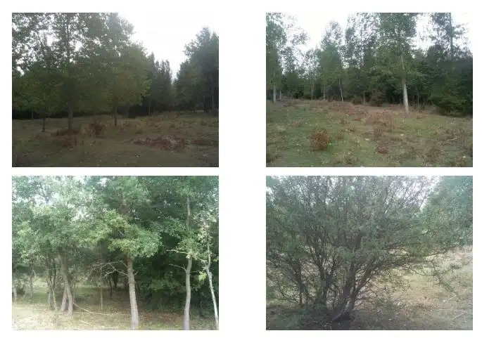 Rural land for sale in Medina de Pomar, imagen 3