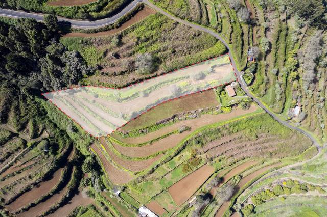 Terreno en Venta en Lomo Alto ( El Tributo), -1 en San Juan de la Rambla