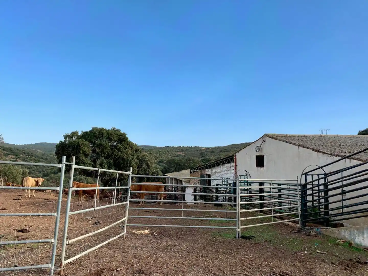 Exterior view of Land for sale in Garbayuela