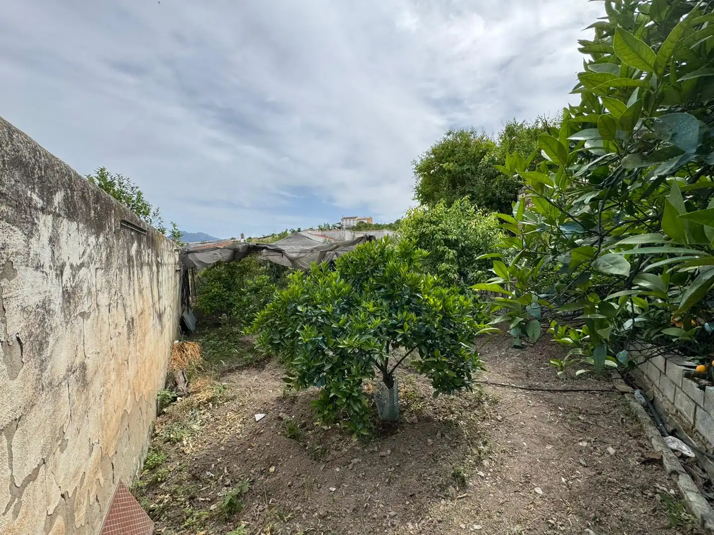 Haus mit Garten zum Verkauf in Cuevas de San Marcos, imagen 30