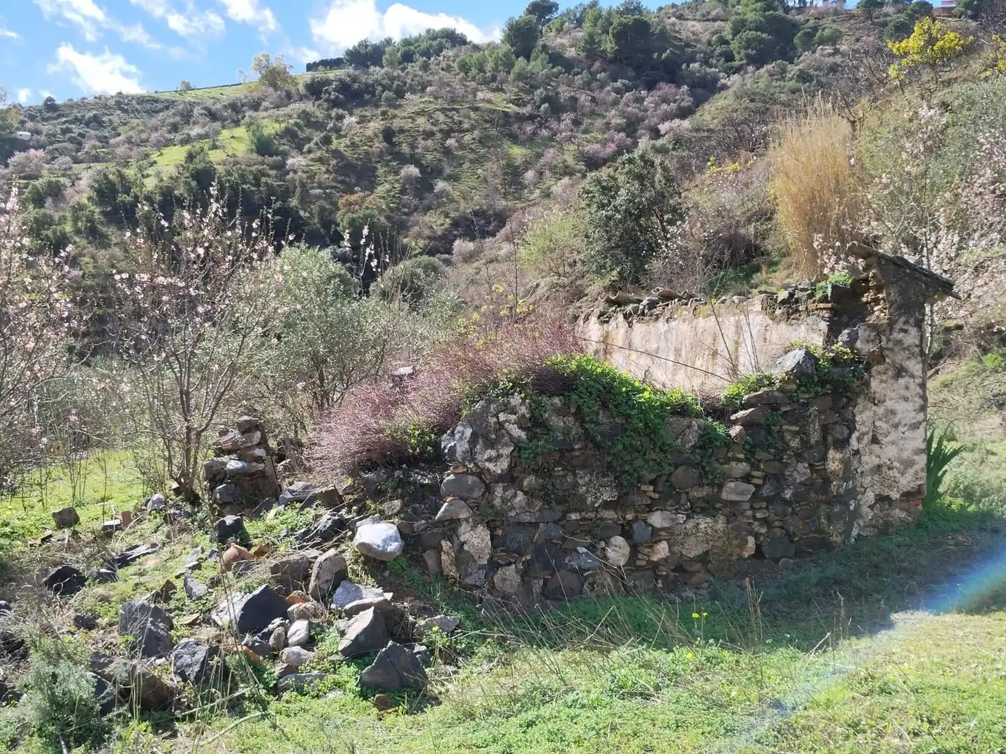 Casa rústica amb piscina en venda a DE LAS VIÑAS, imagen 35