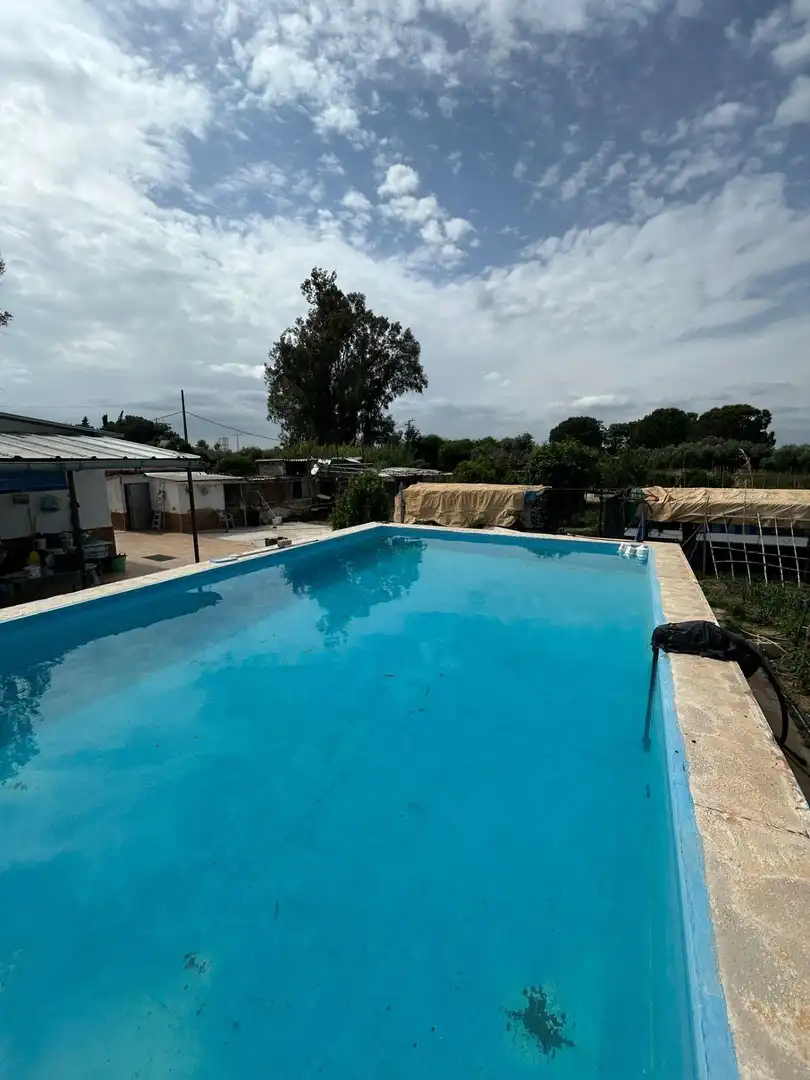 Piscina de Finca rústica en venta en Utrera