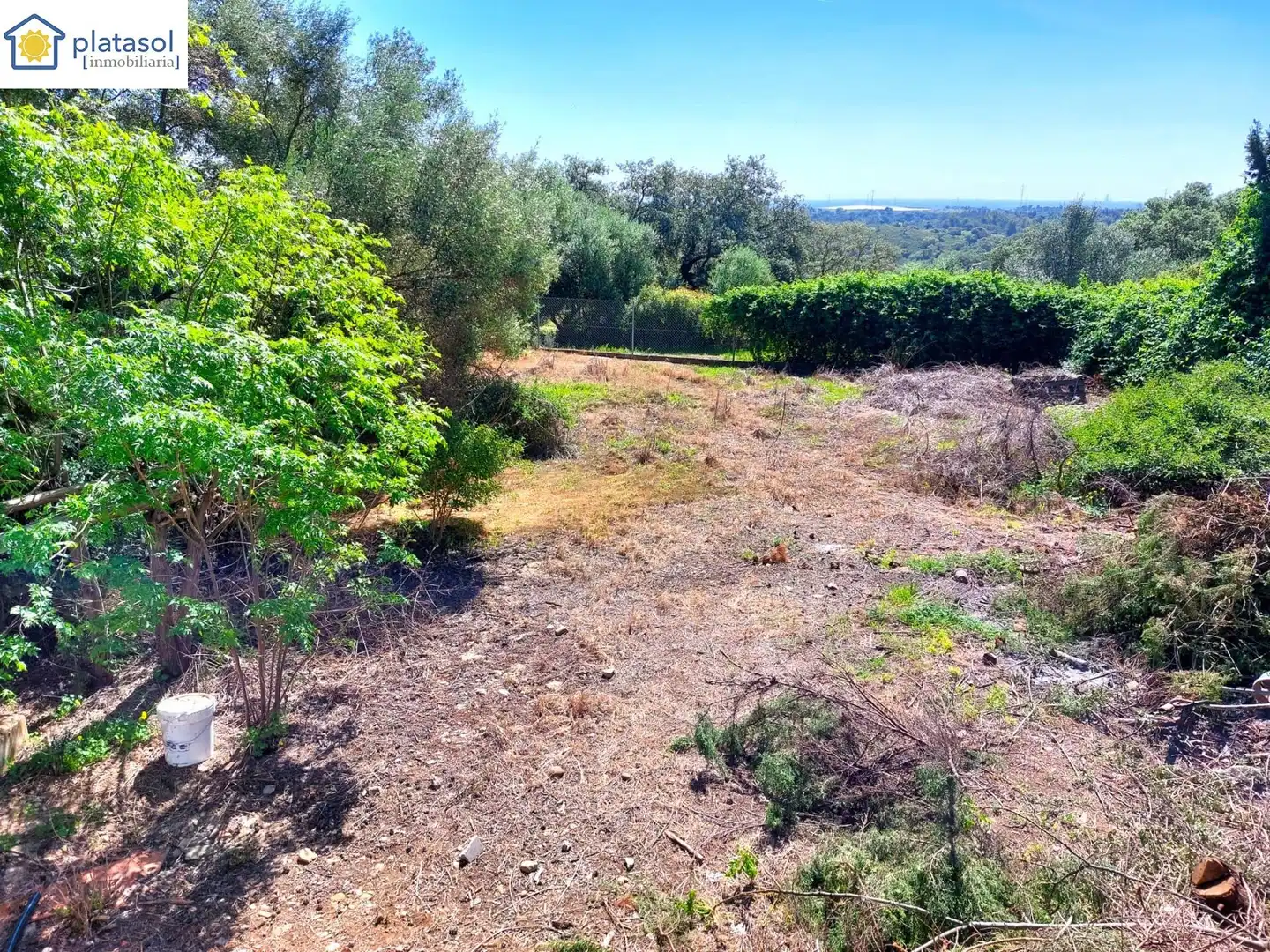 Chalet con piscina en venta en Calle ROMA, imagen 33
