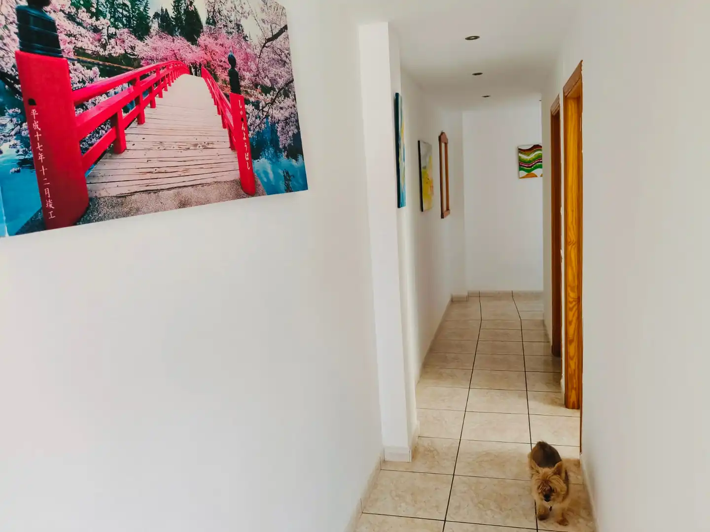 Dúplex en venta en Ondara con Aire acondicionado, Calefacción y Terraza