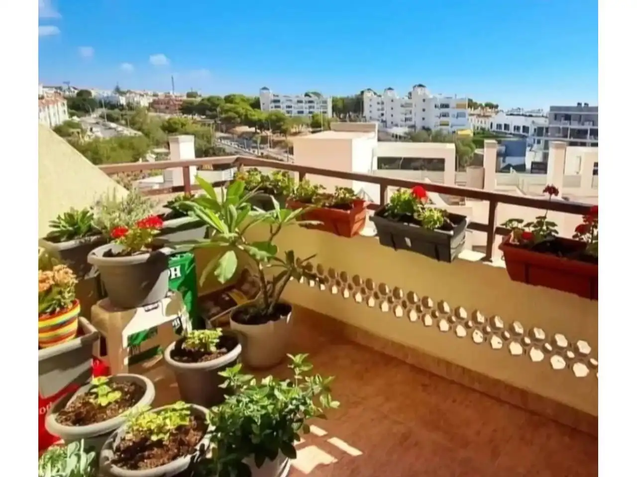 Apartament amb terrassa en venda a El Pinillo