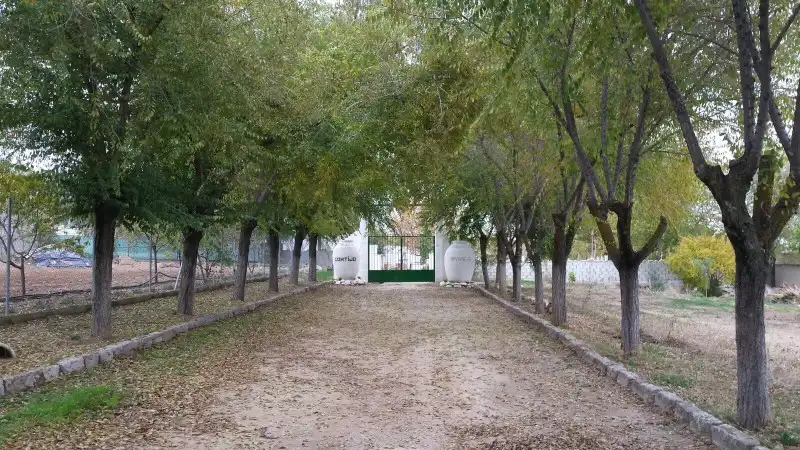 Country house zum Verkauf in Lucena mit Terrasse