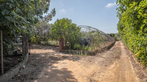 Foto 2 de Finca rústica en venta en De L'arbre, Riudoms, Tarragona