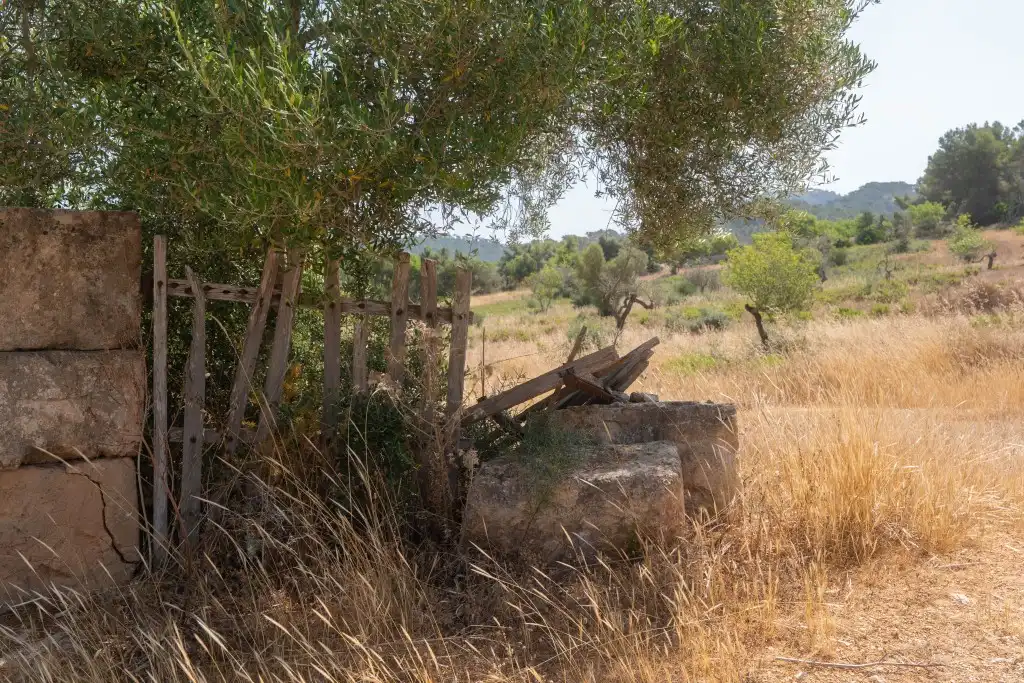 Rural land for sale in Felanitx Poble, imagen 6