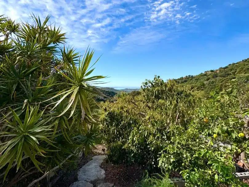 Vista exterior de Finca rústica en venta en Altos de Estepona