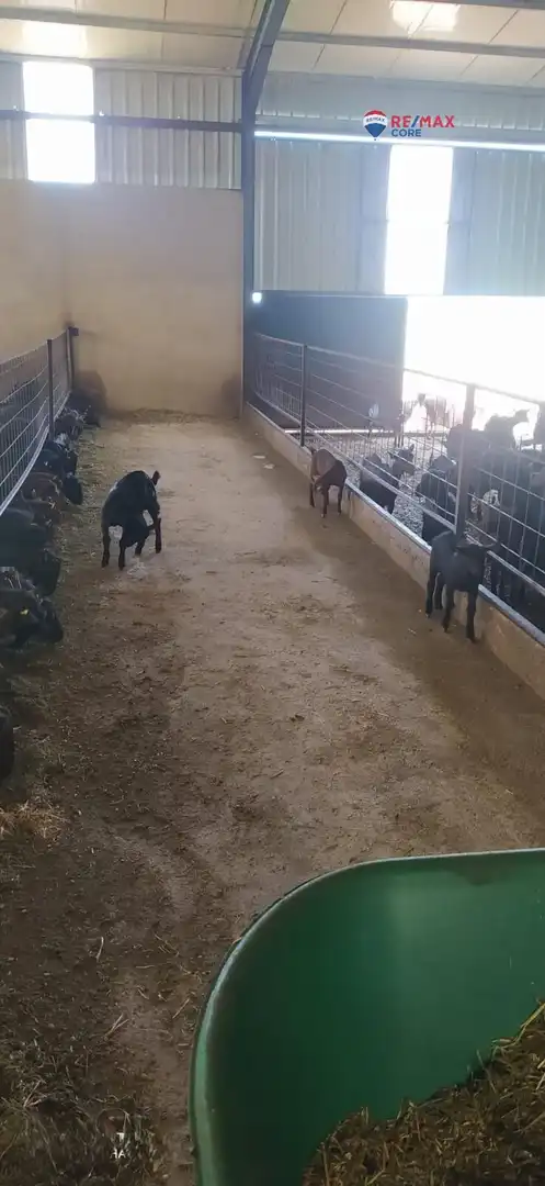 Terreni e lotti in vendita a Brozas, imagen 19