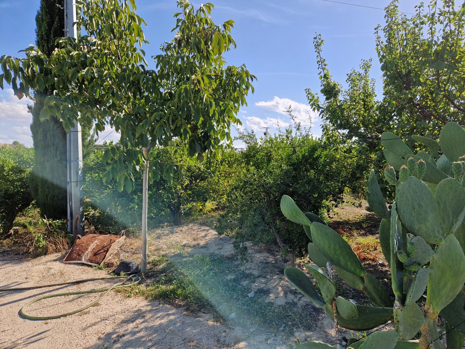 Country house for sale in Villanueva del Río Segura