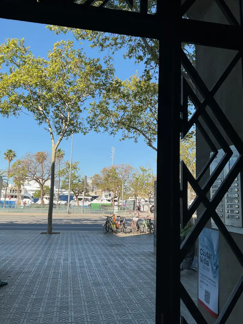 Wohnung mit Terrasse zum Verkauf in Ciutat Vella, imagen 23
