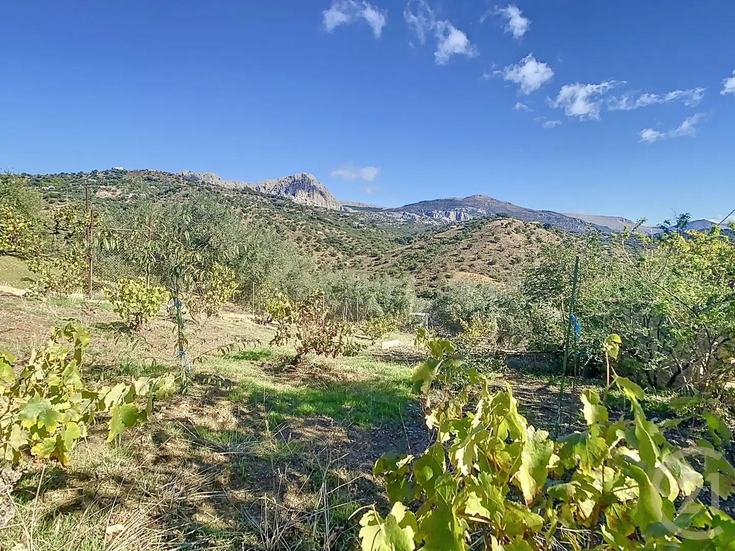 Casa o chalet en venta en Riogordo con Amueblado y Lavadora