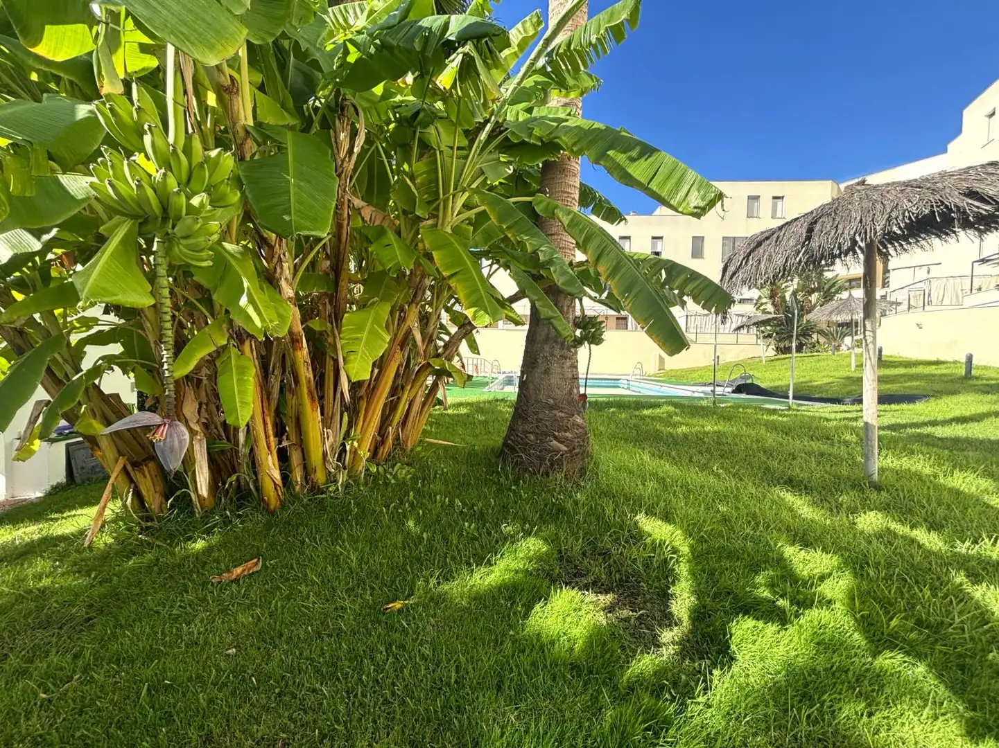 Flat with pool to rent in El Rompido, imagen 15