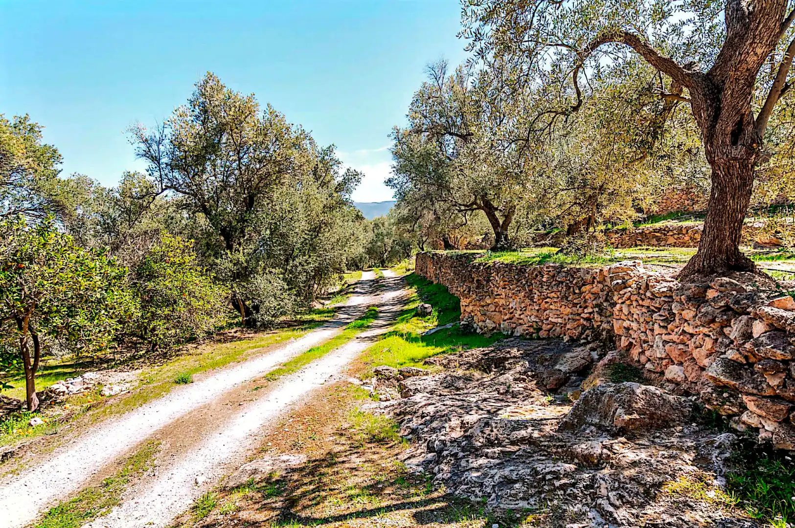 Terrain rustique à vendre à El Pinar, imagen 11