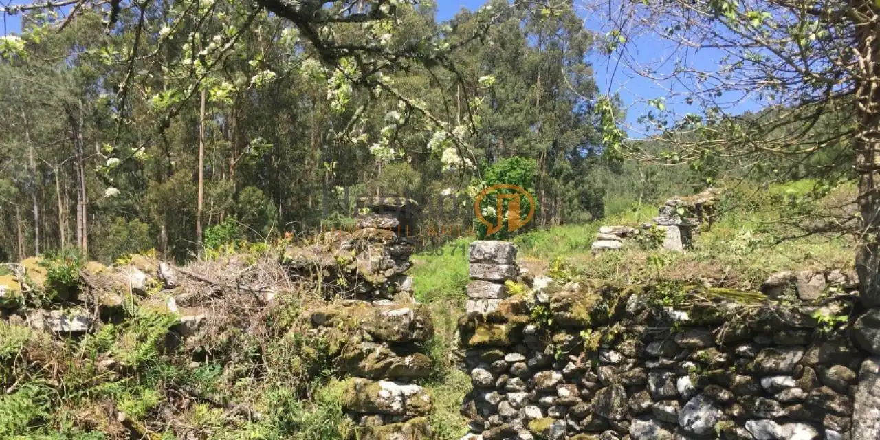Casa rústica con jardín en venta en Marín, imagen 6