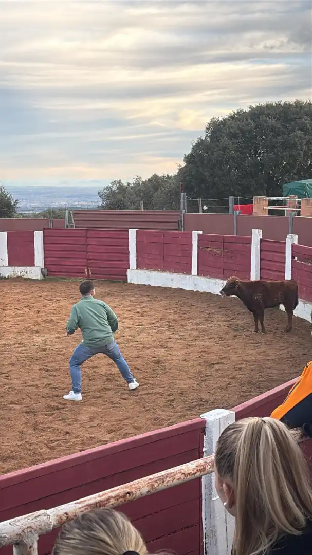 Rustikales Grundstück zum Verkauf in Travesía de Madrid, imagen 7