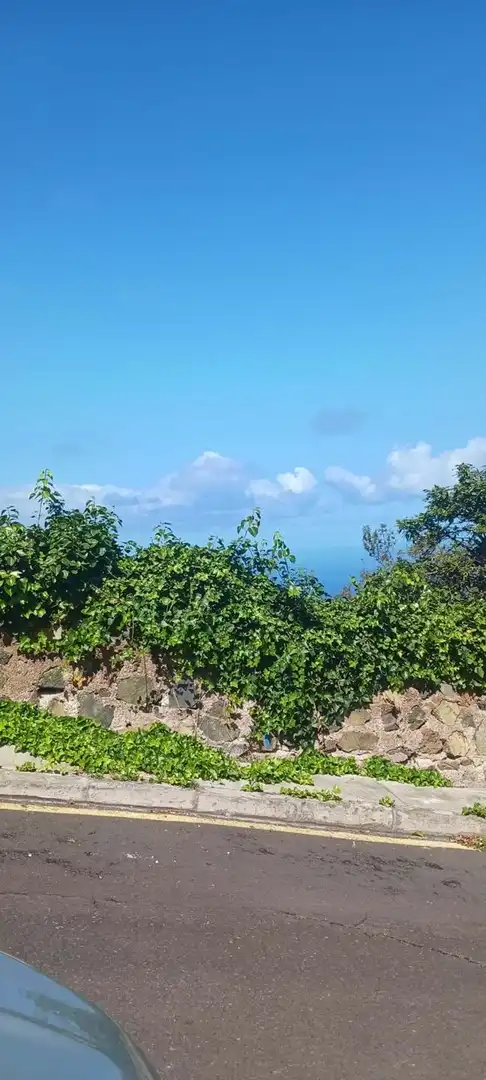 Terreny residencial en venda a El Sauzal, imagen 11