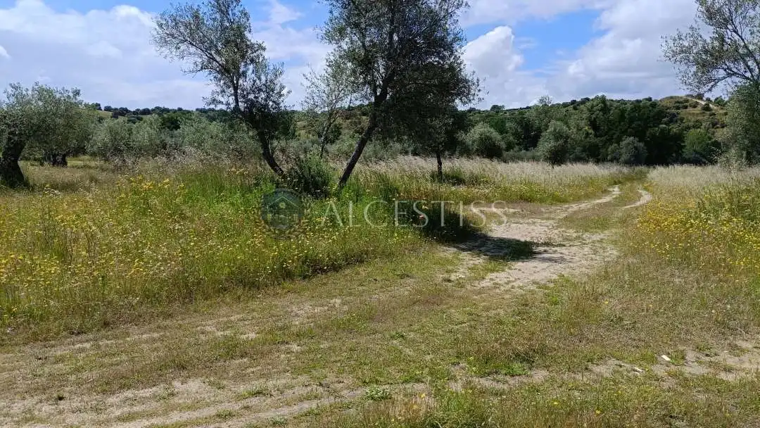 Land for sale in Méntrida