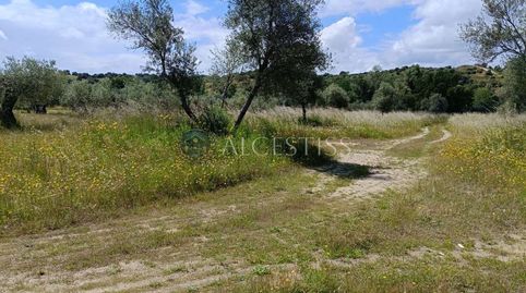 Foto 4 von Grundstücke zum Verkauf in Méntrida, Toledo