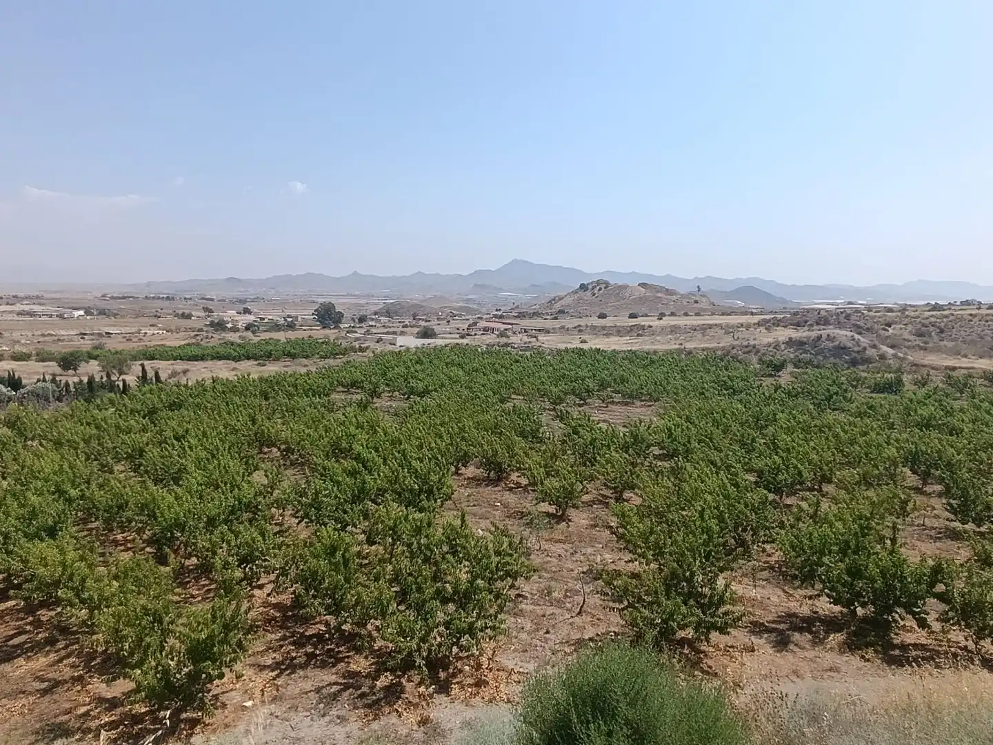 Land for sale in Mazarrón