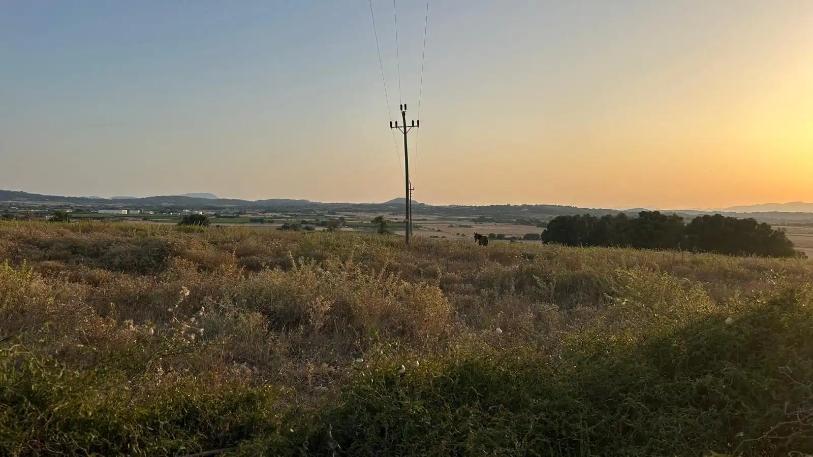 Wohnbaugrundstück zum Verkauf in Ariany, imagen 11