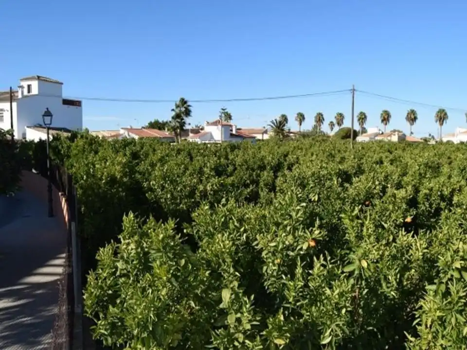 Residential land for sale in Els Poblets, imagen 4