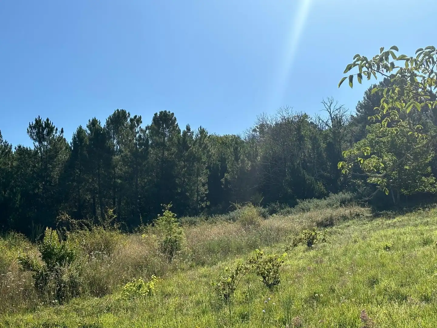 Residencial en venta en Arganza