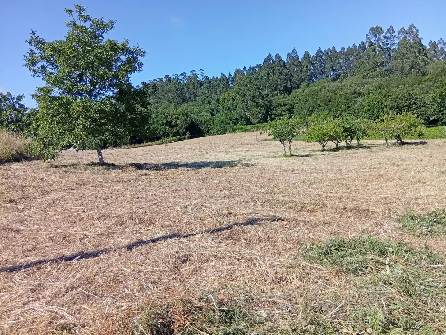Terreni e lotti in vendita a Lugar BARREIRAS, imagen 12