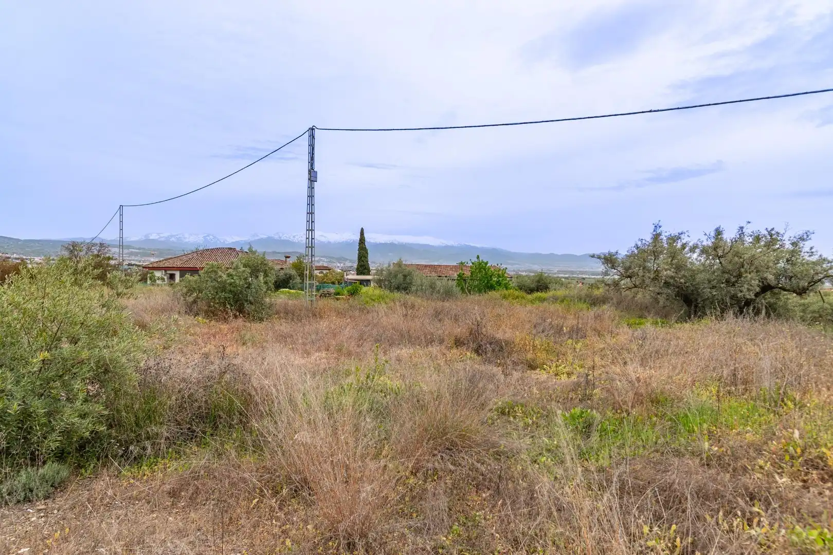 Terreno residencial en venta en El Torreón - Cortijo Pretel, imagen 12
