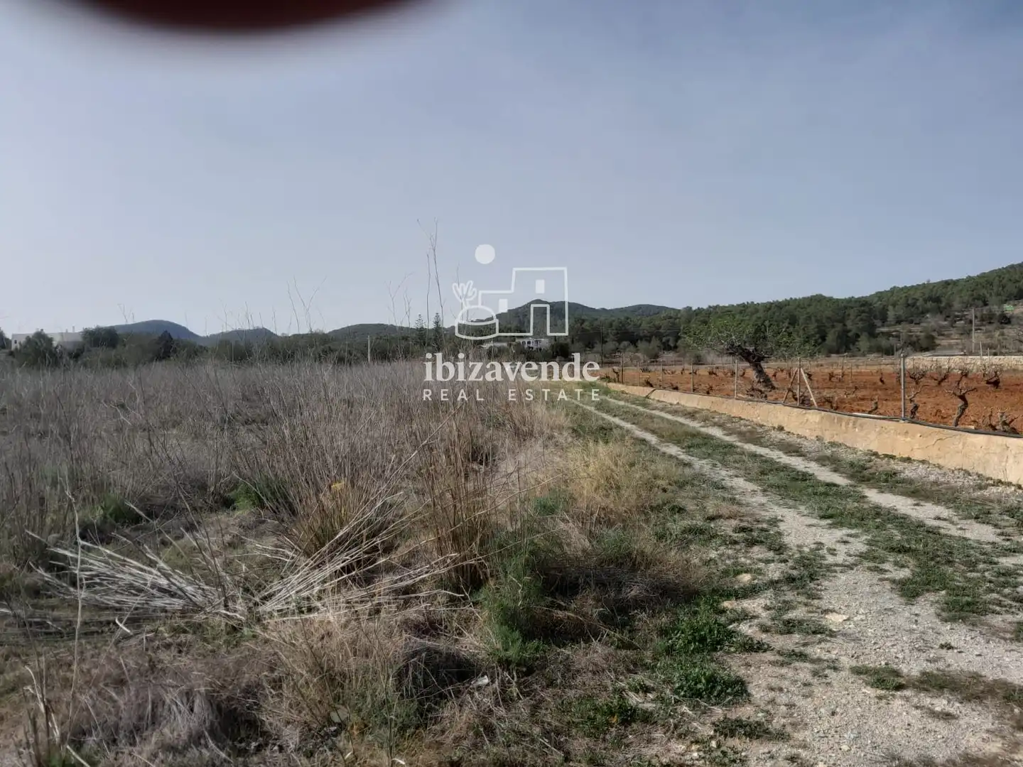 Detached house for sale in San Mateo, imagen 29