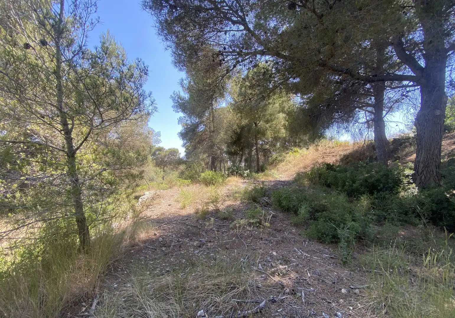 Residential land for sale in Urbanitzacions de Llevant, imagen 23