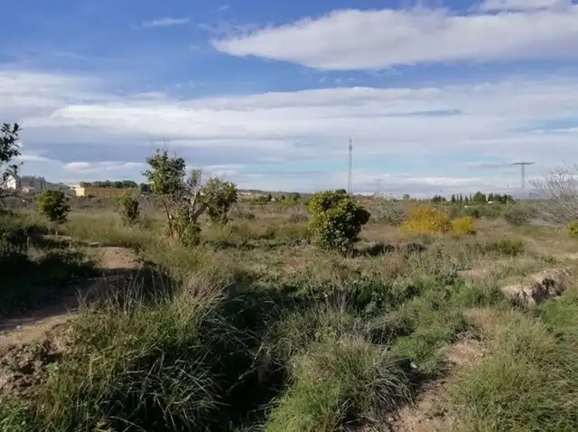 Terreny residencial en venda a Huerto Naranjos, imagen 9