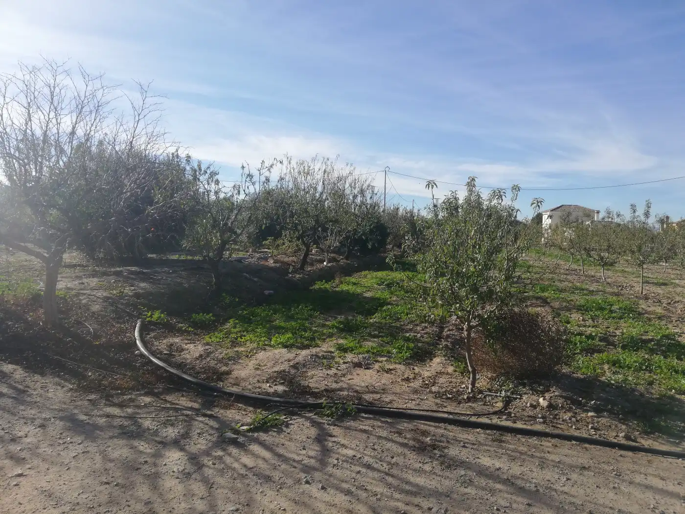 Houses for sale in Lorca  with Private garden