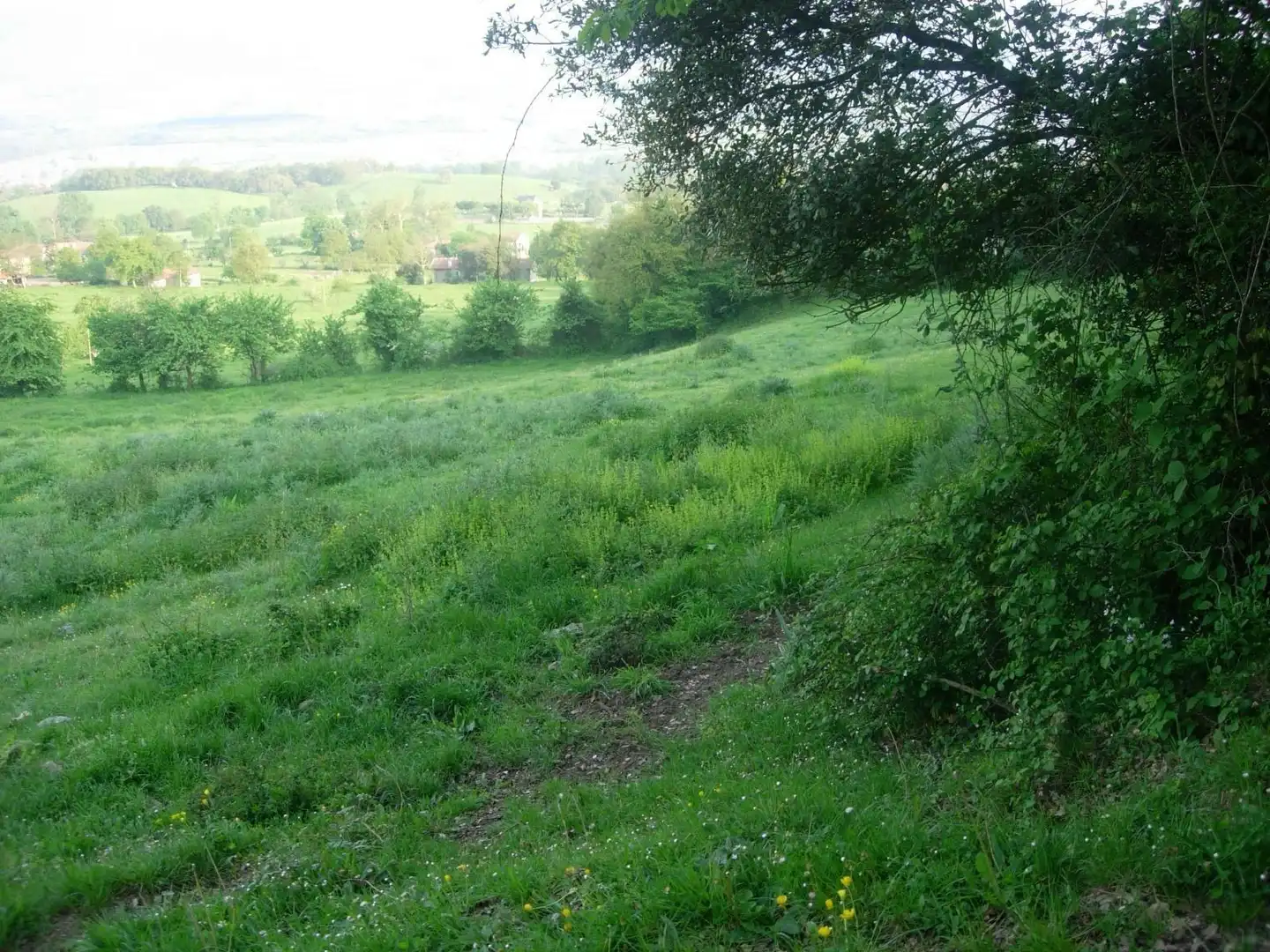 Terreni e lotti in vendita a Valle de Mena, imagen 17