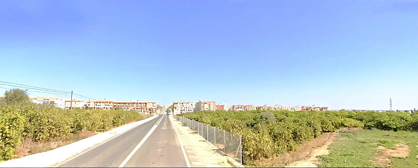 Rural land for sale in Los Montesinos, imagen 4