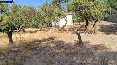 Foto 4 de Finca rústica en venda a N/a, -1, Fondón, Almería