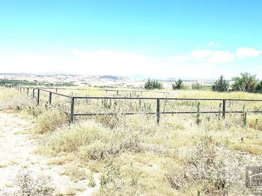 Lands and plots for sale in Uceda