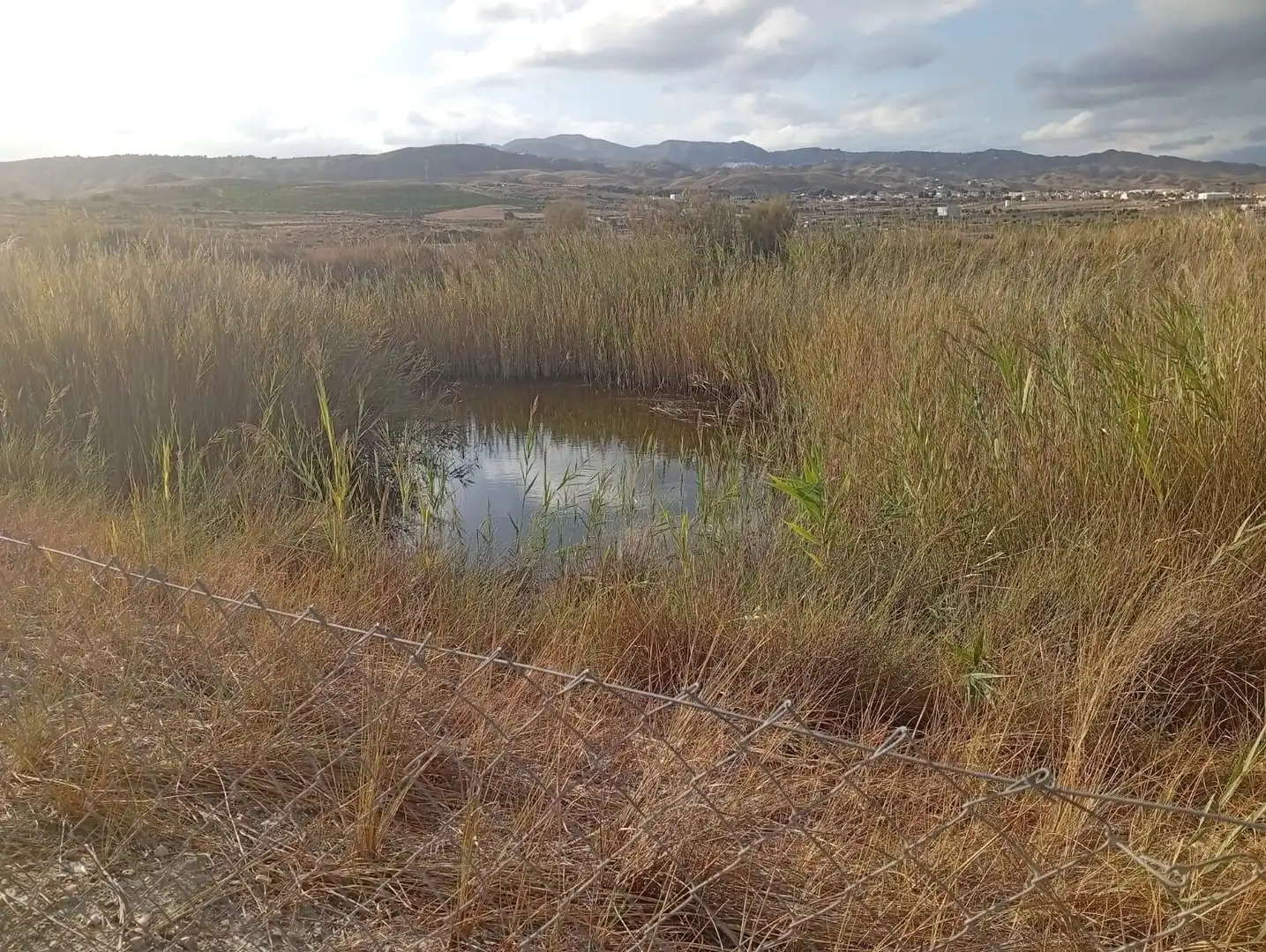 Terrenys i solars en venda a Los Gallardos, imagen 3
