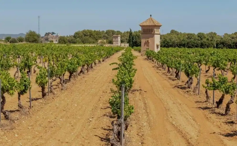 Residential land for sale in Sant Jaume dels Domenys, imagen 2