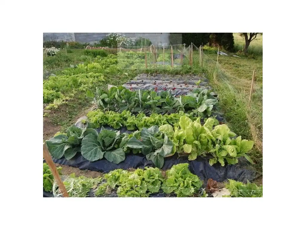 Grundstücke und Bauplätze zum Verkauf in Poligono 15 Paraje 440 Sotillo, imagen 2