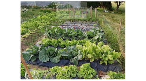 Foto 2 de Residencial en venda a Poligono 15 Paraje 440 Sotillo, Alfaro, La Rioja