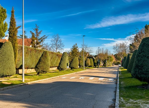 Vista exterior de Casa o chalet en venta en Las Rozas de Madrid con Calefacción, Jardín privado y Terraza