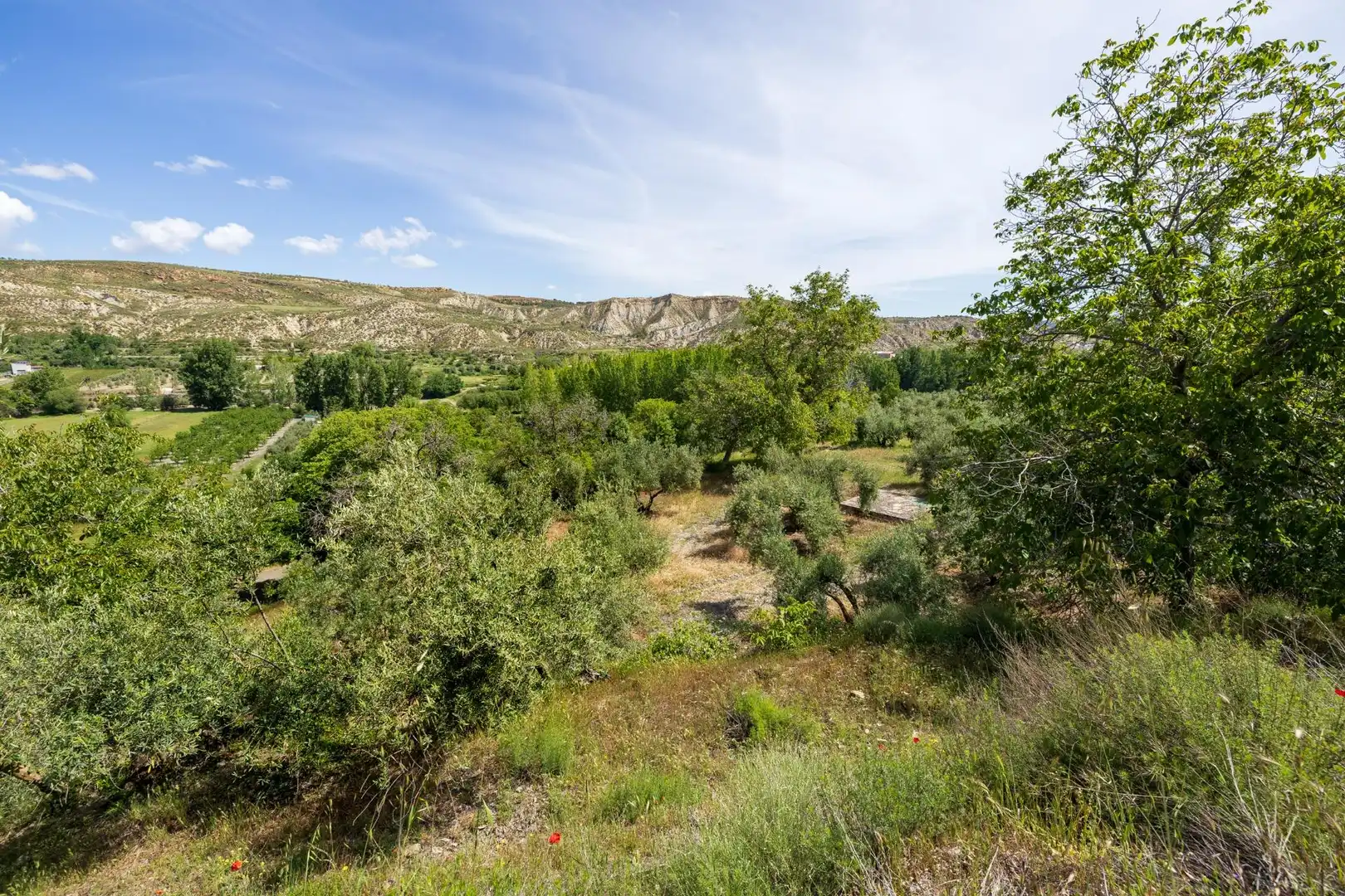 Maison rustique à vendre à La Peza, imagen 50