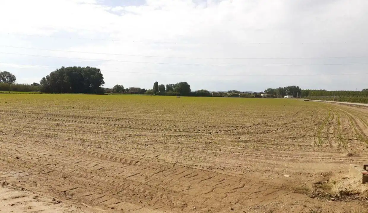 Rural land for sale in Esquivias, imagen 2