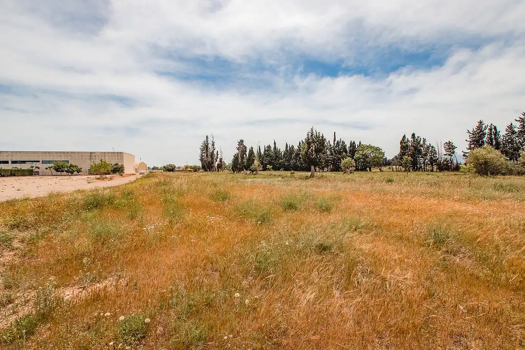 Terrain rustique à vendre à C/ Mossèn Sol, imagen 17