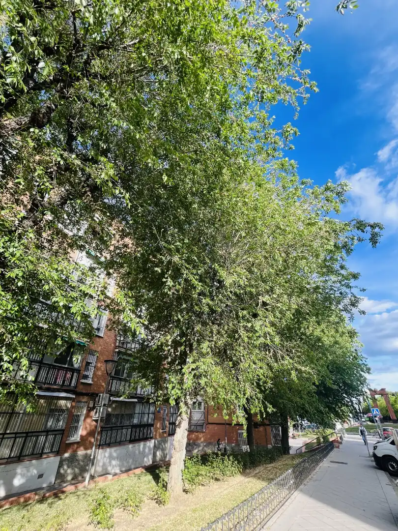 Vista exterior de Piso en venta en Leganés con Terraza