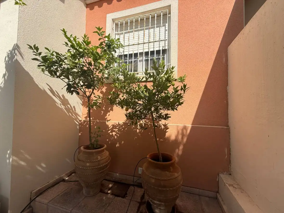 Bungalow mit Pool zum Verkauf in AVENIDA ESCANDINAVIA, imagen 30